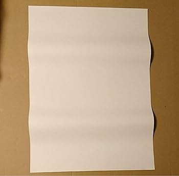 ポスター PUFFY Amazon.co.jp: PUFFY 店頭ポスター 大貫亜美 吉村由美 solosolo